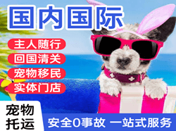 甘孜格萨尔空运公司国际宠物托运 【国